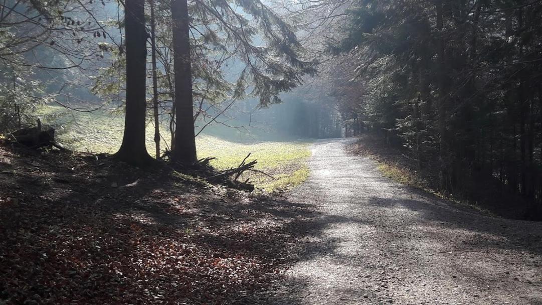 Willa Sawina Sromowce Niżne Dış mekan fotoğraf
